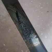 عروس مولد سخنگو