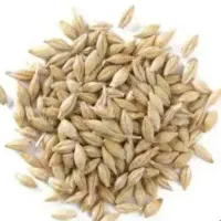 خریدار جو