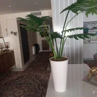 گل مصنوعی|گل مصنوعی|همدان, |دیوار