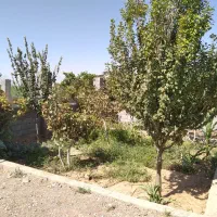 فروش باغ ۱۰۰۰ متری با سند تک برگ|فروش دفتر صنعتی، کشاورزی، تجاری|زرندیه, |دیوار