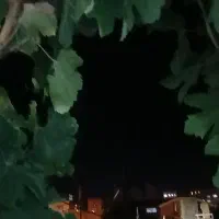 اجاره ویلایی ۱۰۰ متری حیاط دار