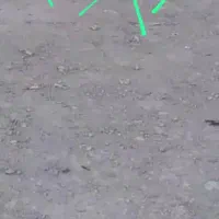 سه عدد پاکوتاه خشگل ناز