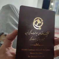 سگ شیترو شناسنامه دار|سگ|خواف, |دیوار