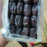 فروش رطب مضافتی بم با بهترین کیفیت عمده و جزئی|خوردنی و آشامیدنی|تهران, تهران‌نو|دیوار