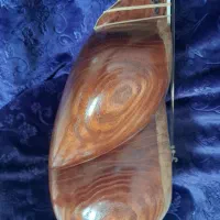 تار شاهرخ|سازهای سنتی|تهران, افسریه جنوبی|دیوار