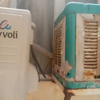 کولرابی 2800درحدنو