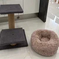 باکس گربه، جای خواب ، اسکرچر