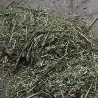 یونجه