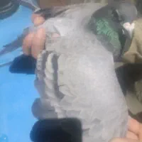 پلاکی. پرشی.