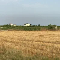 فروش زمین ۵۰۰۰ متری در استخر|فروش زمین و ملک کلنگی|تهران, استخر|دیوار