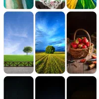 شیائومی ردمی 14 سی