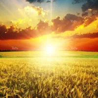 زمین مخصوص خونه باغ