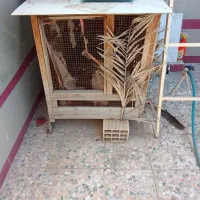 قفس چوبی