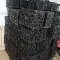 ۱۵۰ سبد   در شادگان