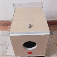 لانه گربه،خرگوش،سگ کوچک|لوازم جانبی حیوانات|رشت, ساغری سازان|دیوار