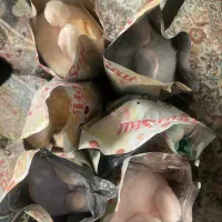 اسباب بازی