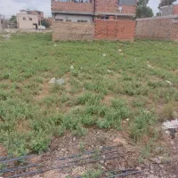 زمین-125متری-مسکونی