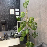 آپارتمان سه خوابه جنوبی ۲۱۰ متر
