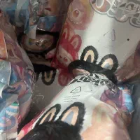 عروسک لبوبو