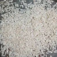 برنج محلی|خوردنی و آشامیدنی|چگنی, |دیوار