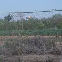 زمین-باغ