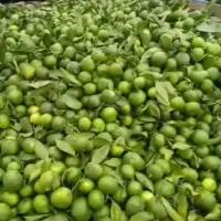 نارنگی