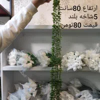 اویز شمشاد|گل مصنوعی|قم, نیروگاه|دیوار