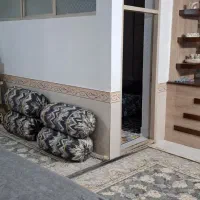 اجاره طبقه همکف|اجارهٔ آپارتمان|مشهد, شهرک مطهری|دیوار