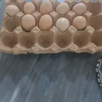 تخم مرغ لاری