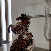 اسب پلی استر