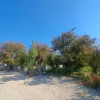 300متر سند دار شهرکی|فروش زمین و ملک کلنگی|محمدشهر, عباس آباد|دیوار