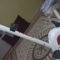 دوچرخه ثابت