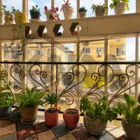 فروش واحد ۶۸ متری، لوکیشن با دسترسی خیلی خوب|فروش آپارتمان|رودسر, |دیوار