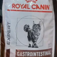 غذای خشک درمانی گربه رویال کنین گاسترو فایبر