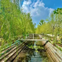 مدرن، تک، ناب|فروش خانه و ویلا|مبارکه, |دیوار