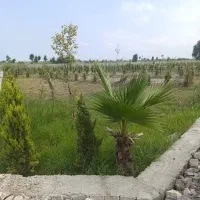 ۱۹۴ متر شهرکی مدارک کامل اقساط بدون بهره