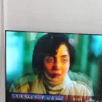 تلویزیون 65 اسنوا کارتن و 2کنتور موجود .|تلویزیون و پروژکتور|قوچان, |دیوار