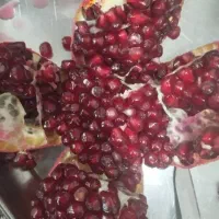 انار تنگ سیاب