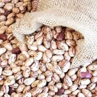 لوبیاچیتی|خوردنی و آشامیدنی|تهران, امام خمینی|دیوار