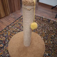 اسکرچر گربه