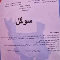 ثبت شرکت نام و علامت تجاری برند و لوگو