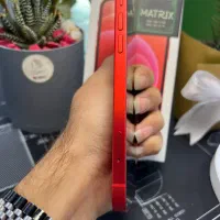 اپل iPhone 12 حافظه ۱۲۸ / نقد و اقساط|موبایل|کرج, گوهردشت|دیوار