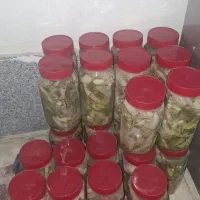 ترشی بیلهر تازه