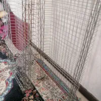 سبد استیل