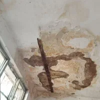 لکه‌گیری گچکاری وکار کلی گچ‌کاری در کل مشهد