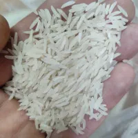 برنج فجرسوزنی اعلا ۹۰روزه دوالکه