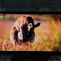 تلویزیون ال جی ۴۲ اینچ|تلویزیون و پروژکتور|درگهان, |دیوار