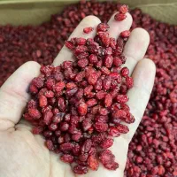 زرشک پفکی اعلا درجه یک - اقساطی و نقدی