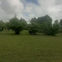 لیدر وراهنمایی تور گردشگری گیلان