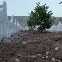 باغچه ۱۵۸ متری نهال کاری شده در مجموعه|فروش زمین و ملک کلنگی|شهریار, اصیل آباد|دیوار